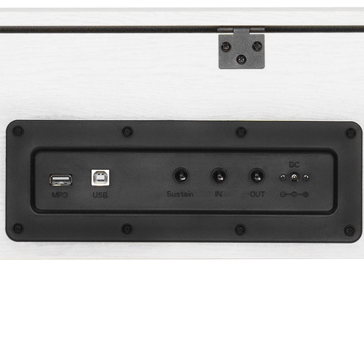 Antares W-290 WH (5)